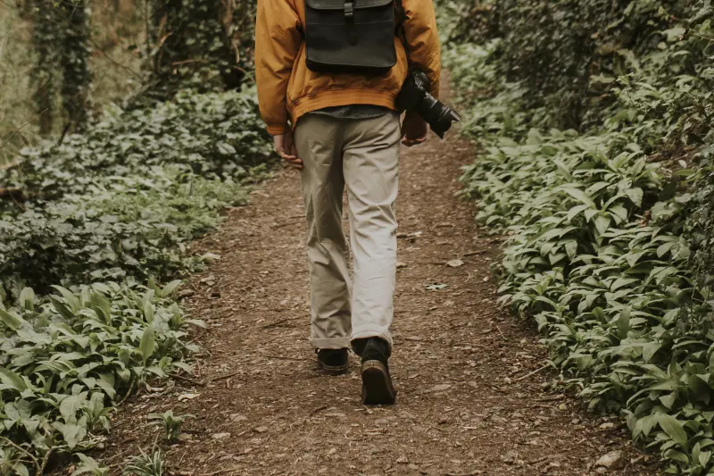 photographer-walking-woods-outdoor-rearview.jpg