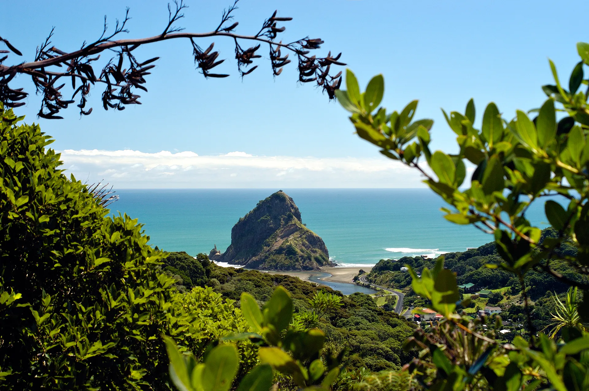 229763-piha-beach-auckland-web-1920.webp