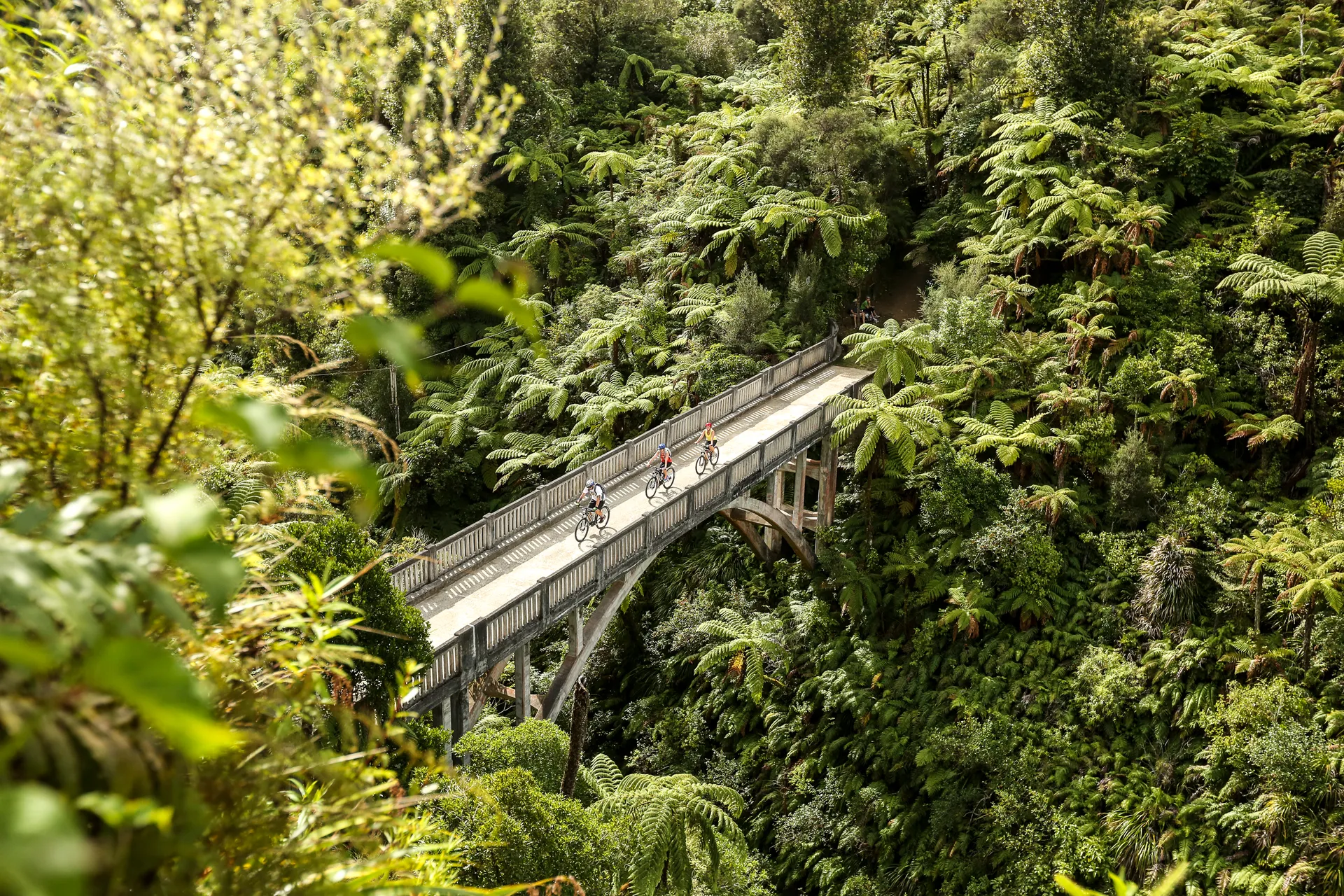 231281-whanganui-national-park-whanganui-web-1920.webp