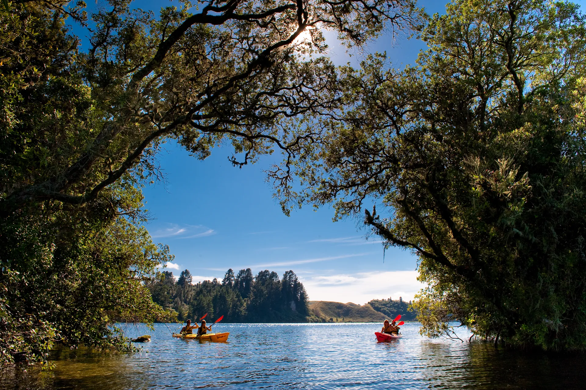 233072-waimarino-adventure-park-bay-of-plenty-web-1920.webp