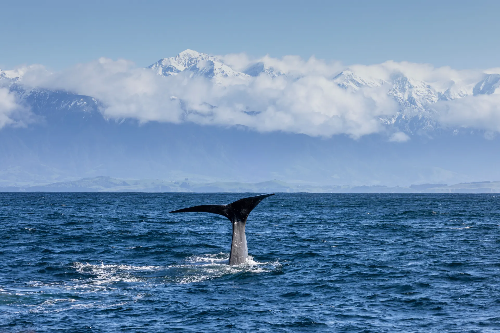 516648-kaikoura-canterbury-web-1920.webp